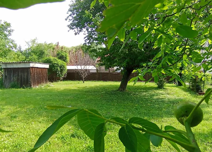 Vadvirag Haz * Balatonfüred